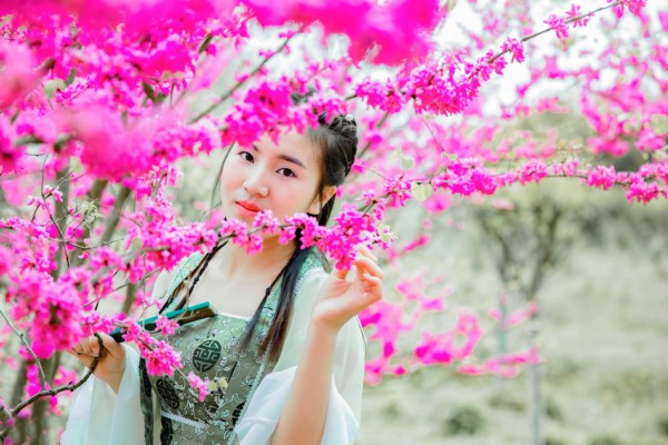 赏武汉美景,品茗好时光,露营好地方推荐! 赏武汉美景,品茗好时光,露营好地方推荐!